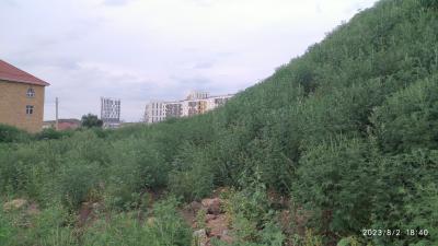 Прикрепленное изображение: IMG_20230802_184025.jpg